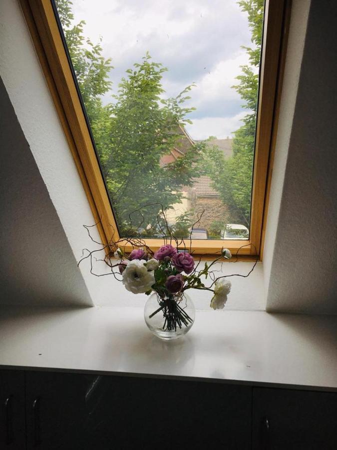 Rheingau - Schoene Moeblierte Ferienwohnung Eltville am Rhein ภายนอก รูปภาพ